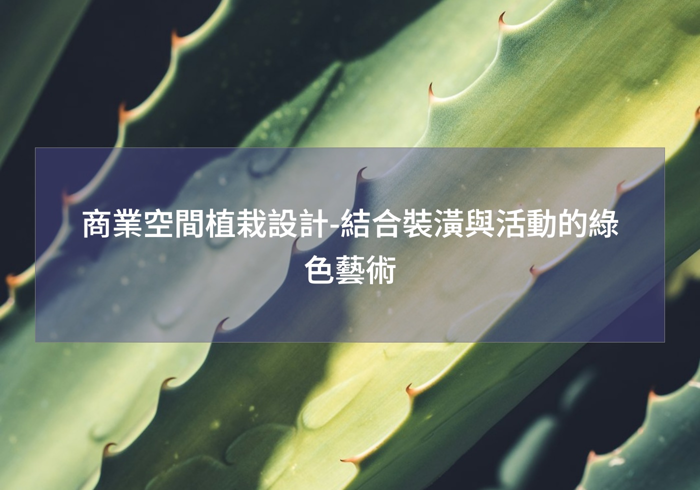 閱讀更多文章 商業空間植栽設計-結合裝潢與活動的綠色藝術