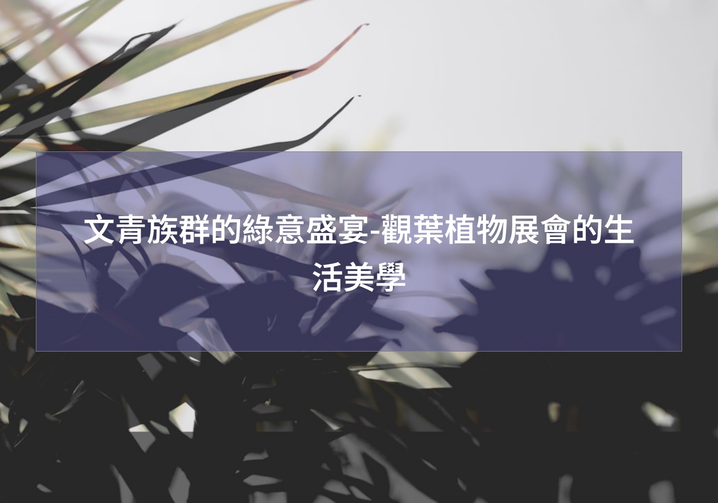 文青族群的綠意盛宴-觀葉植物展會的生活美學