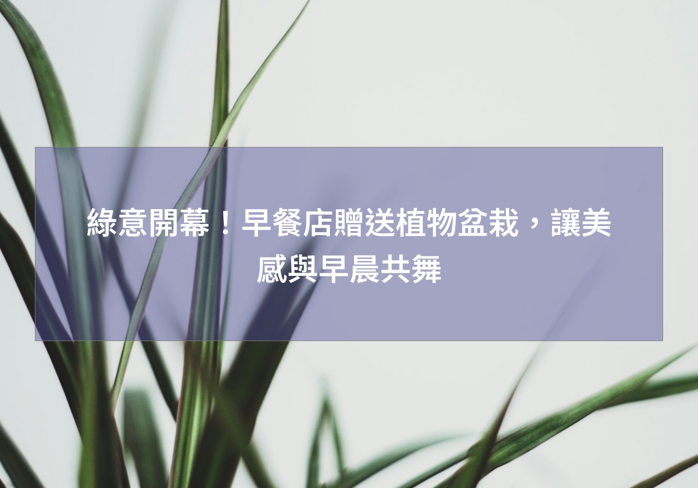 綠意開幕！早餐店贈送植物盆栽，讓美感與早晨共舞