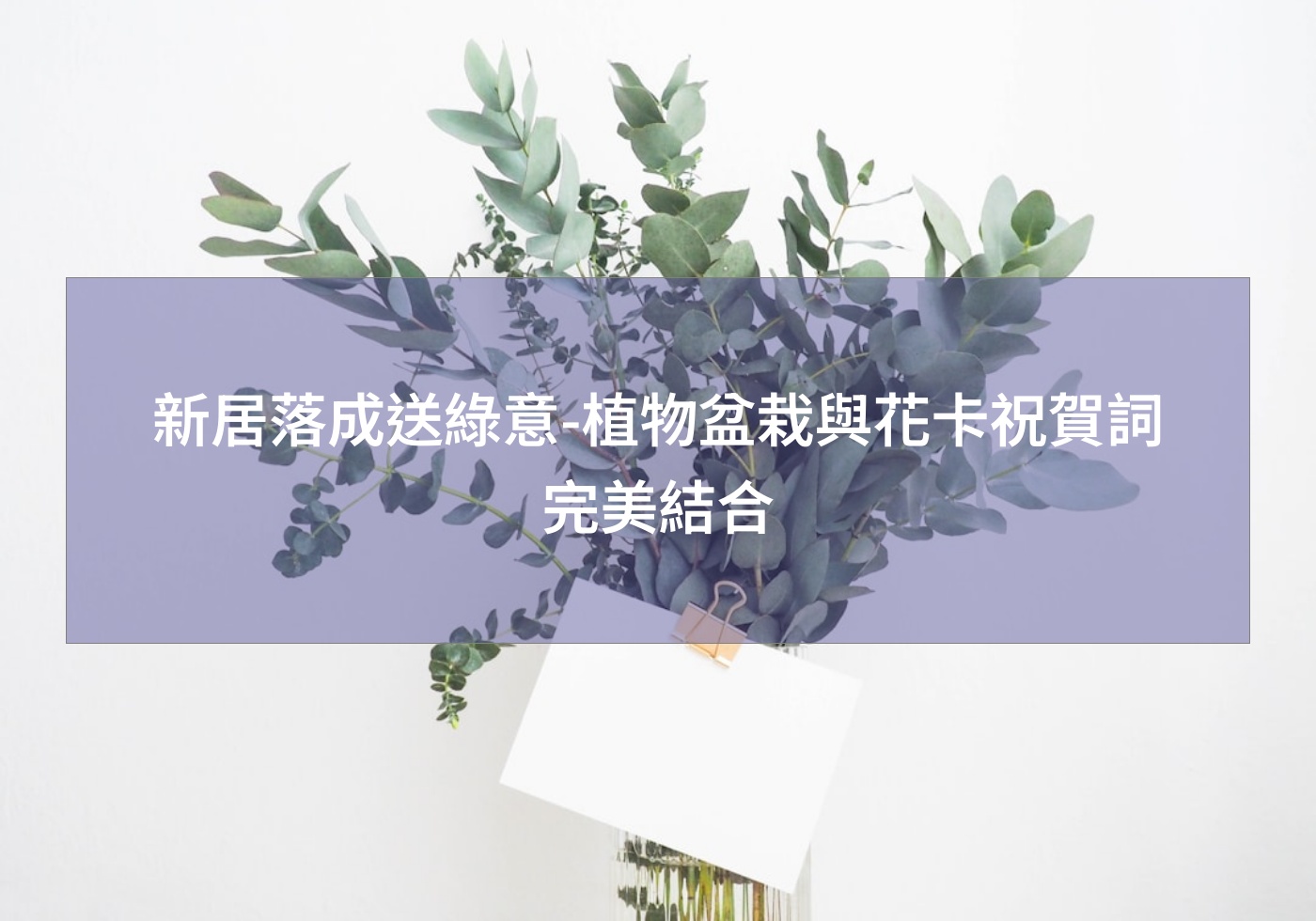 閱讀更多文章 新居落成送綠意-植物盆栽與花卡祝賀詞完美結合