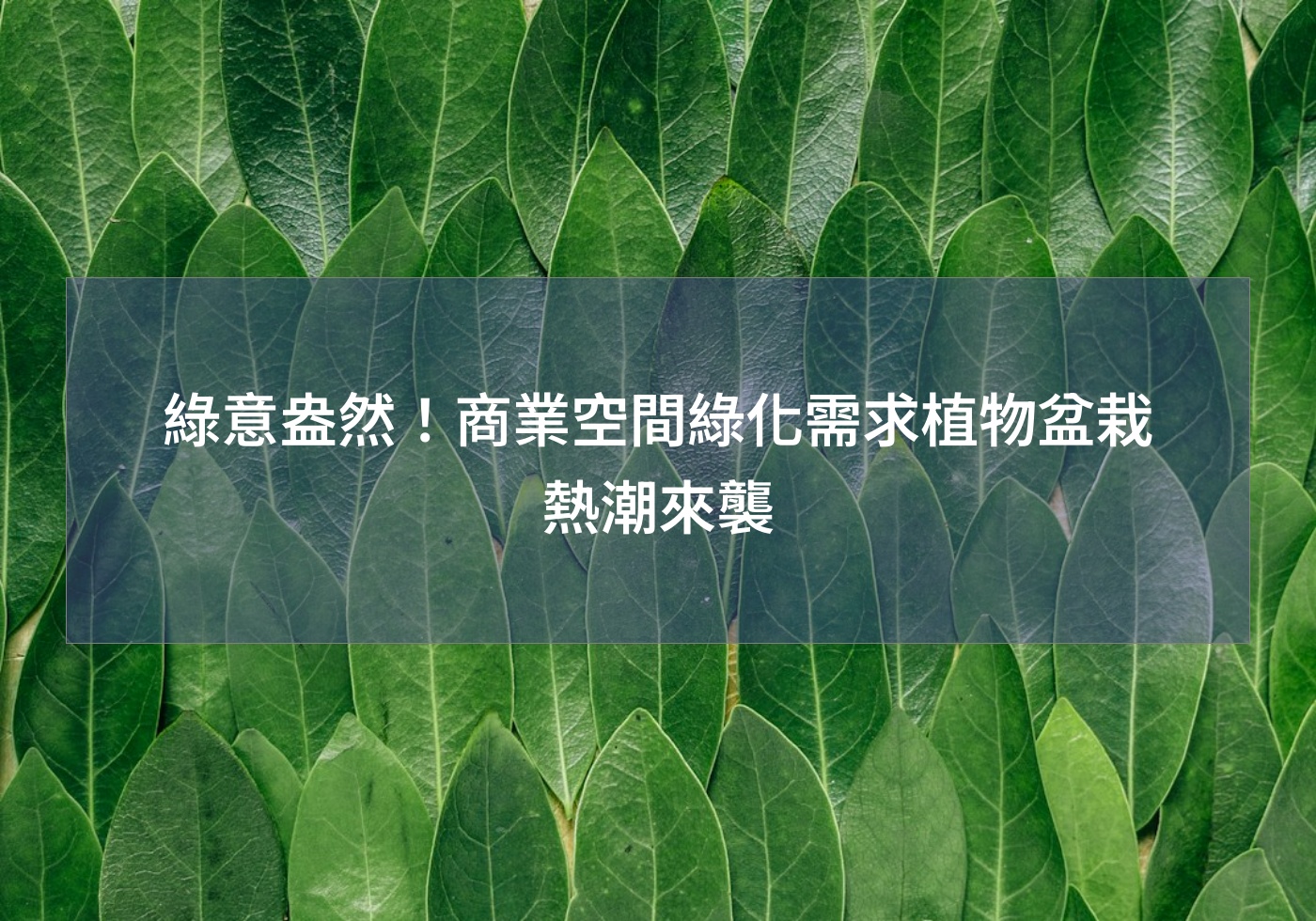 閱讀更多文章 綠意盎然！商業空間綠化需求植物盆栽熱潮來襲