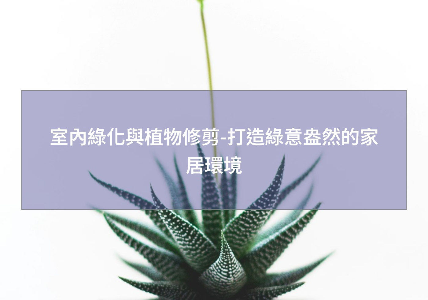閱讀更多文章 室內綠化與植物修剪-打造綠意盎然的家居環境