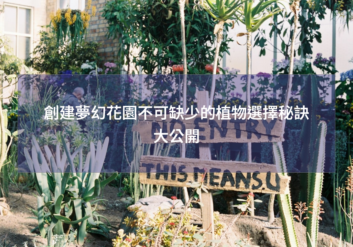 閱讀更多文章 創建夢幻花園不可缺少的植物選擇秘訣大公開