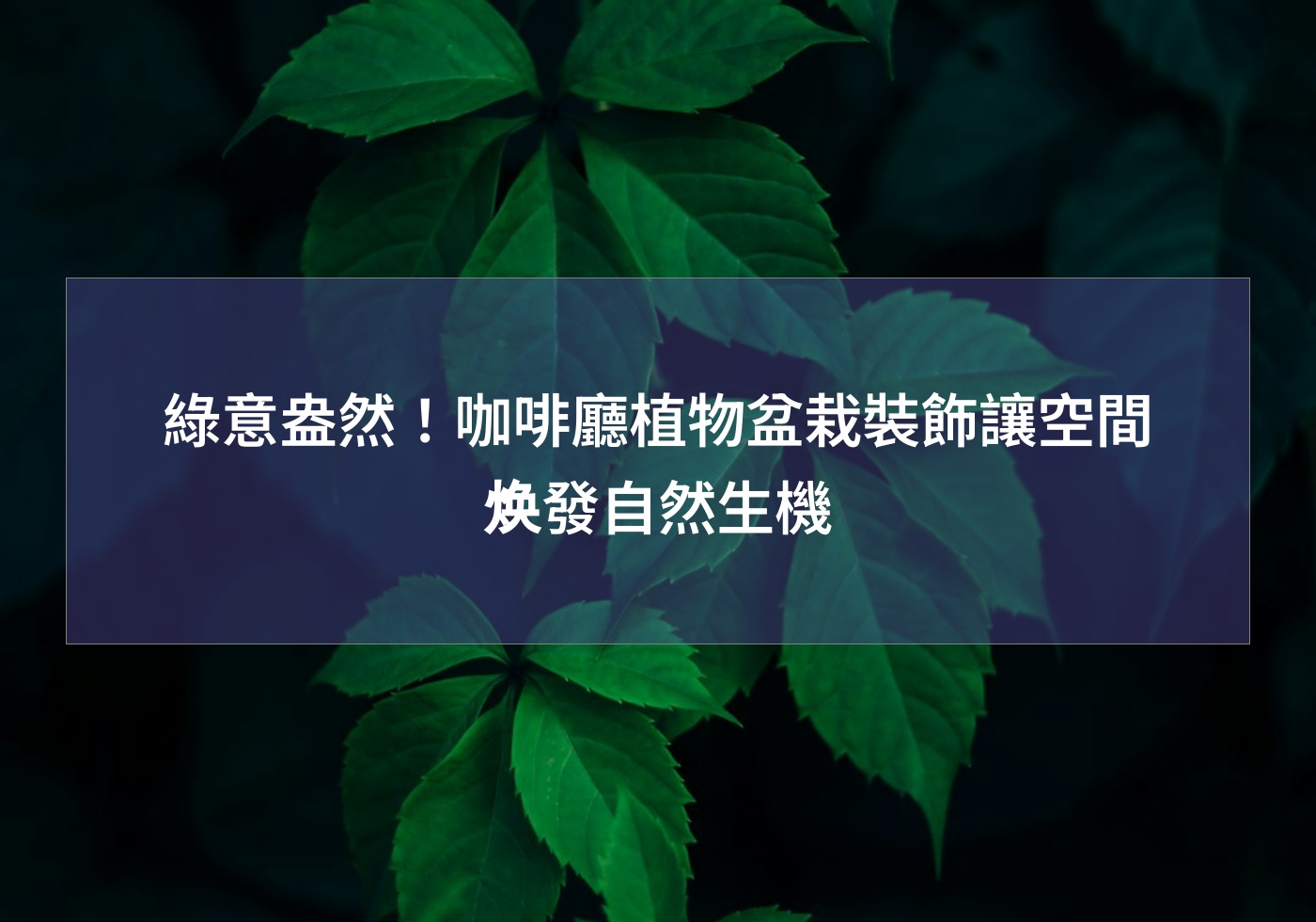 閱讀更多文章 綠意盎然！咖啡廳植物盆栽裝飾讓空間焕發自然生機