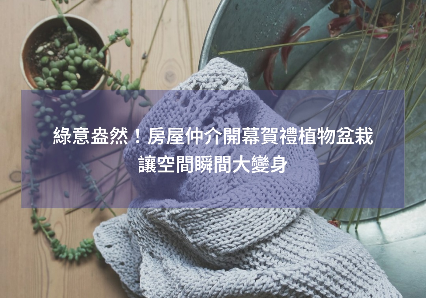 閱讀更多文章 綠意盎然！房屋仲介開幕賀禮植物盆栽讓空間瞬間大變身