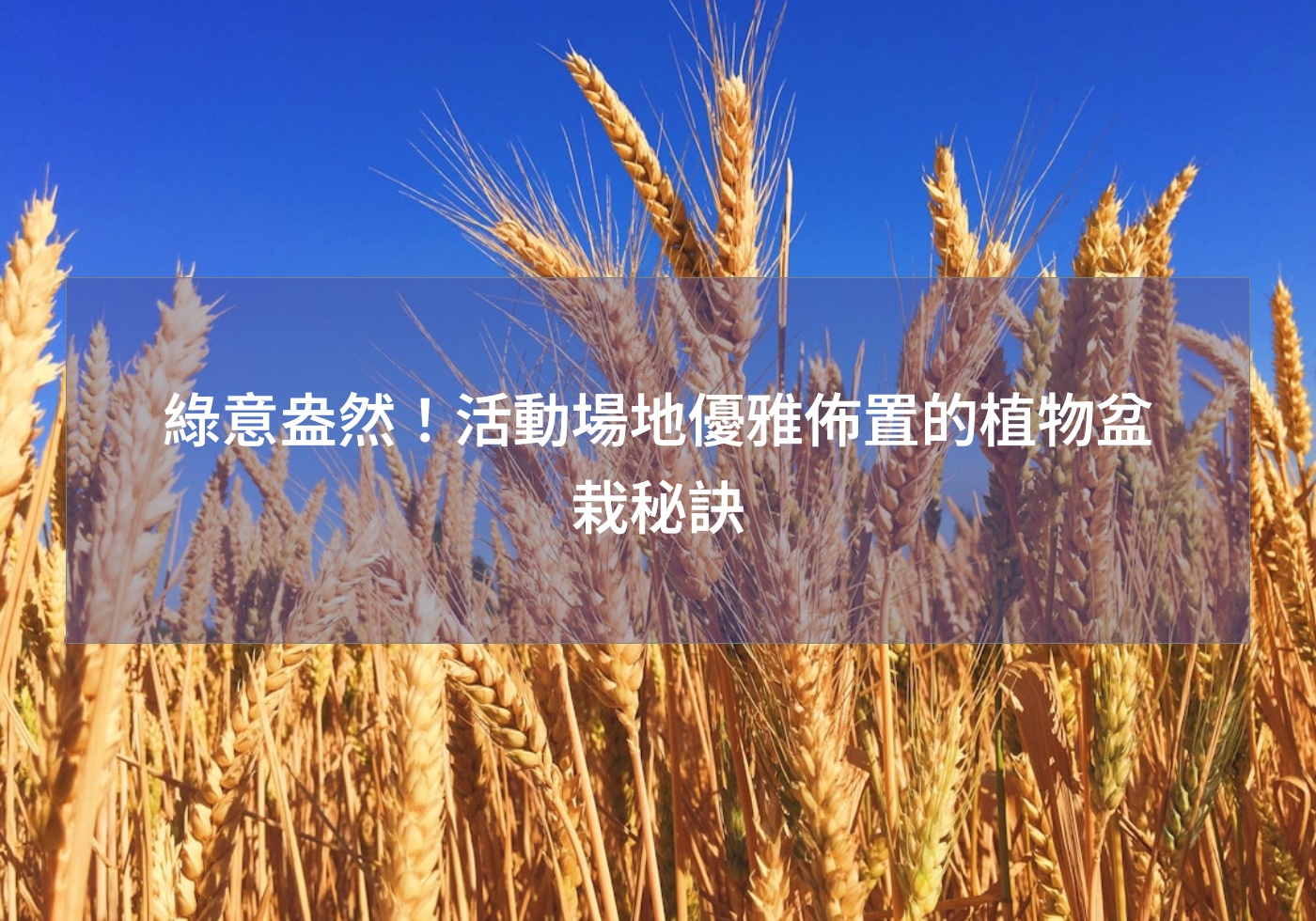 閱讀更多文章 綠意盎然！活動場地優雅佈置的植物盆栽秘訣