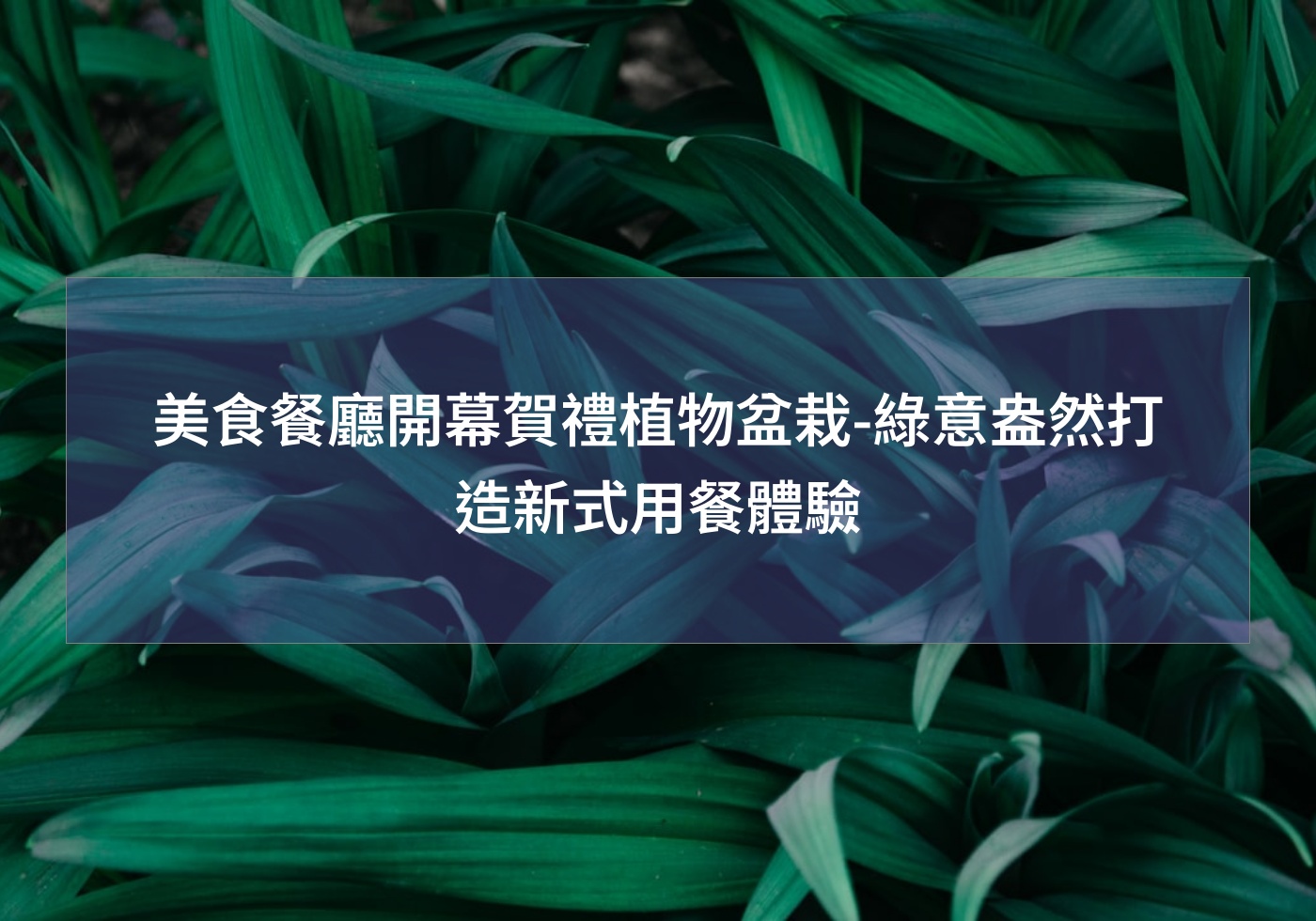 美食餐廳開幕賀禮植物盆栽-綠意盎然打造新式用餐體驗