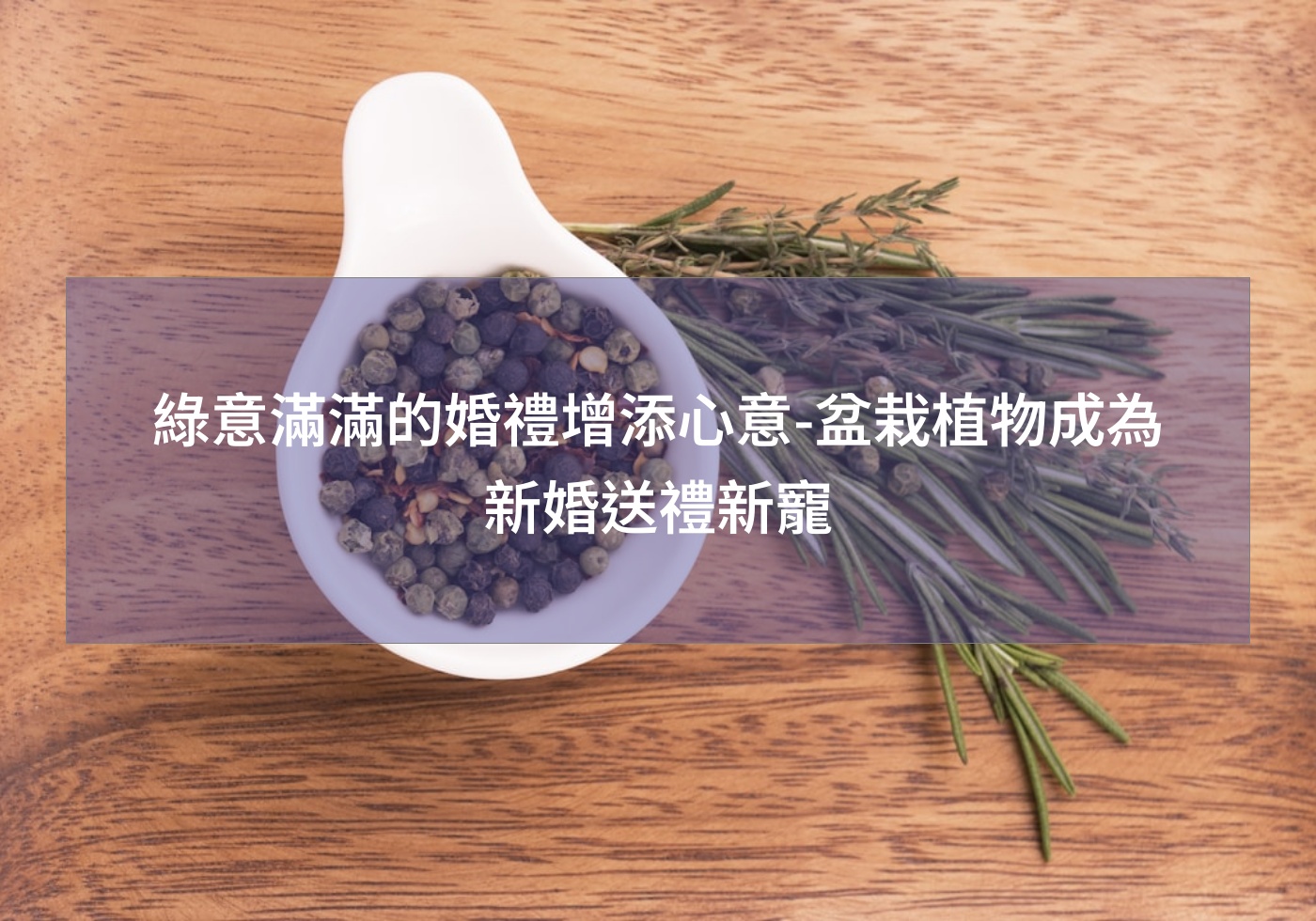 綠意滿滿的婚禮增添心意-盆栽植物成為新婚送禮新寵