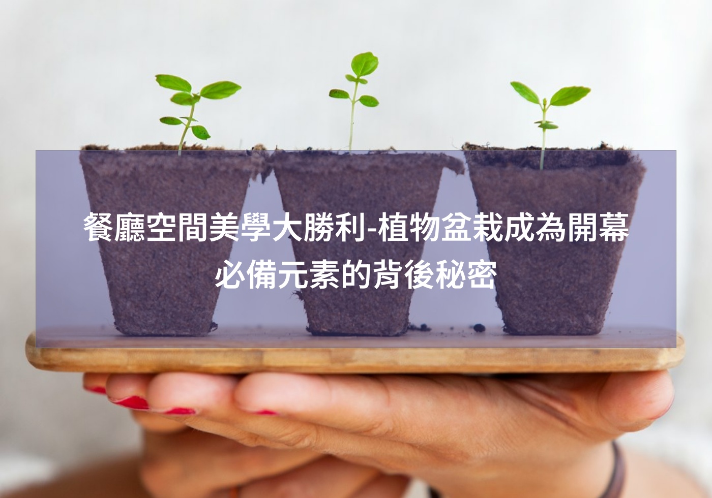 閱讀更多文章 餐廳空間美學大勝利-植物盆栽成為開幕必備元素的背後秘密