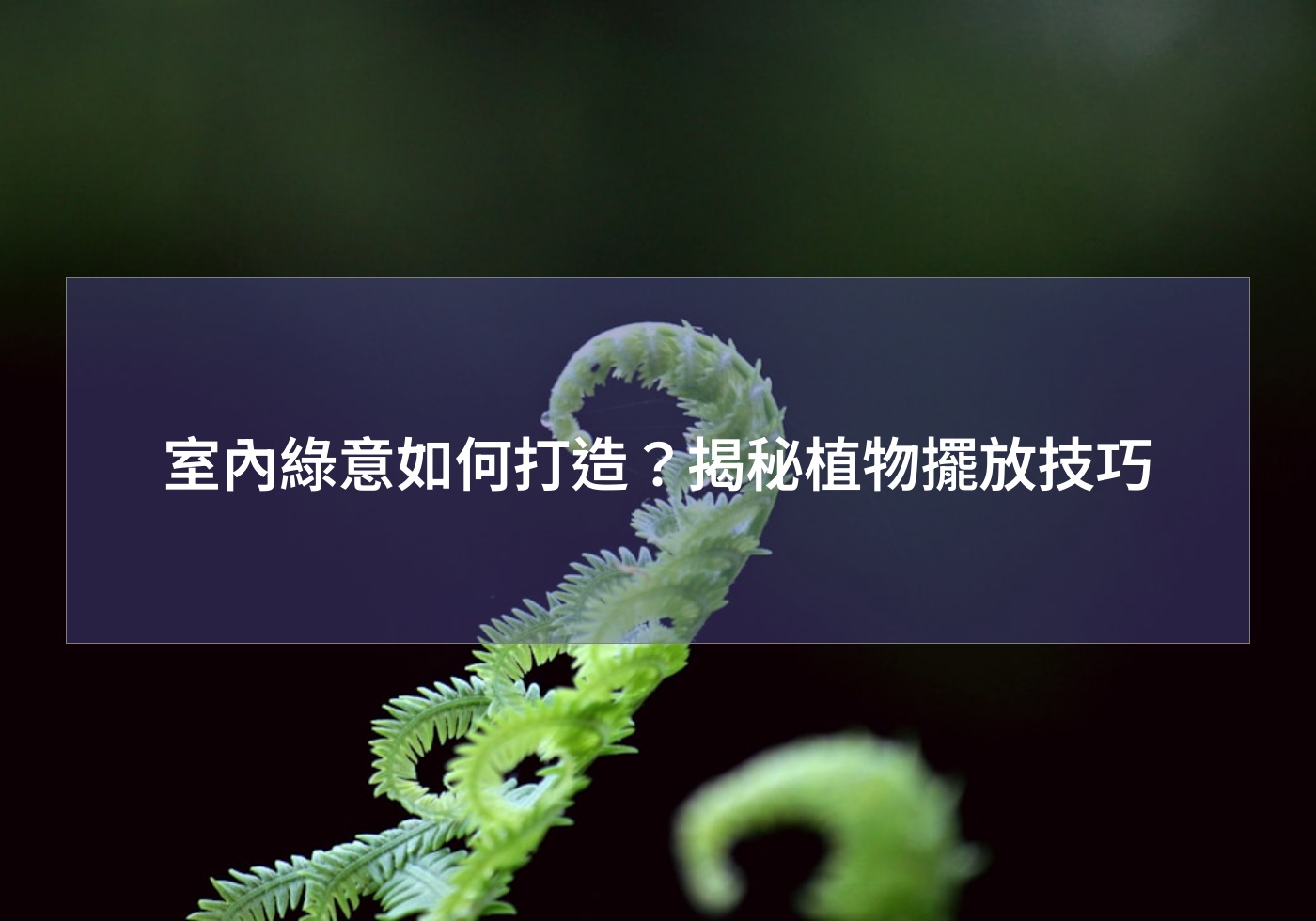 閱讀更多文章 室內綠意如何打造？揭秘植物擺放技巧