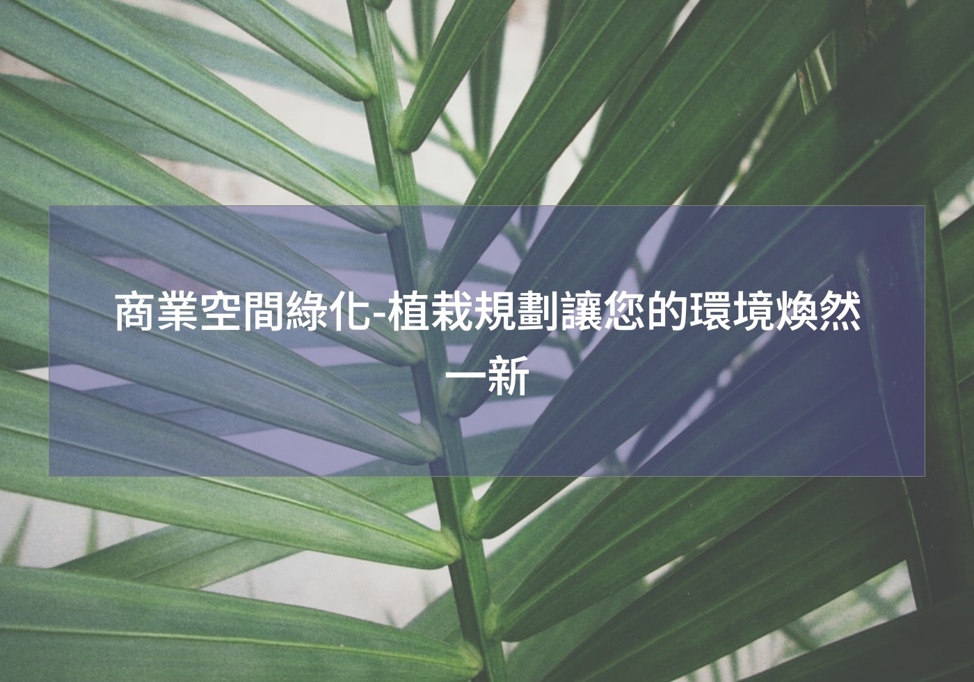閱讀更多文章 商業空間綠化-植栽規劃讓您的環境煥然一新