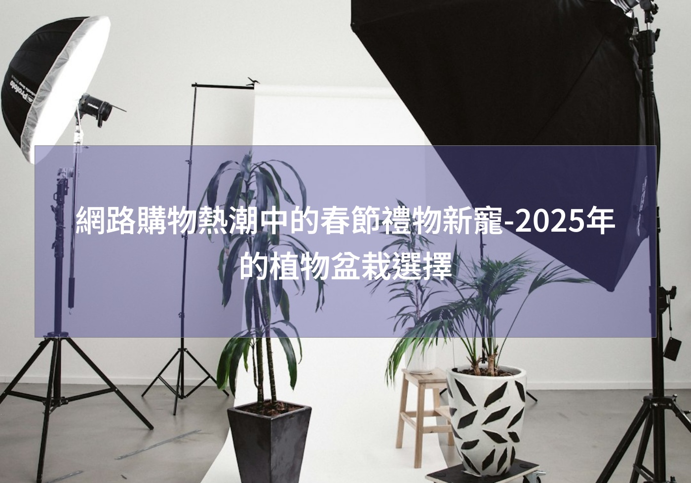 閱讀更多文章 網路購物熱潮中的春節禮物新寵-2025年的植物盆栽選擇