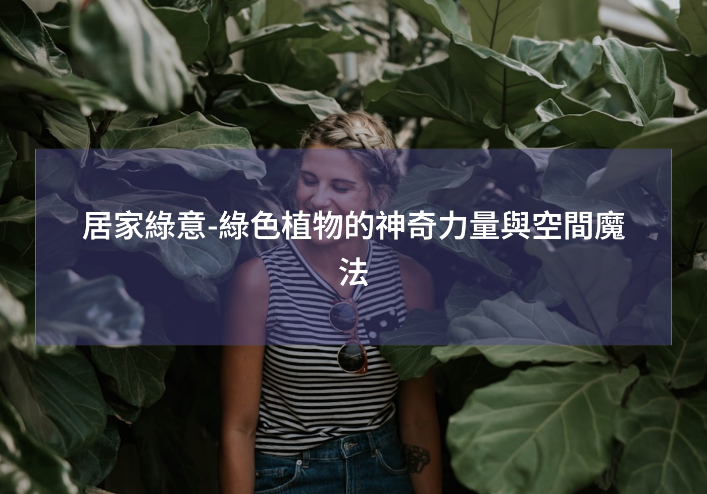居家綠意-綠色植物的神奇力量與空間魔法
