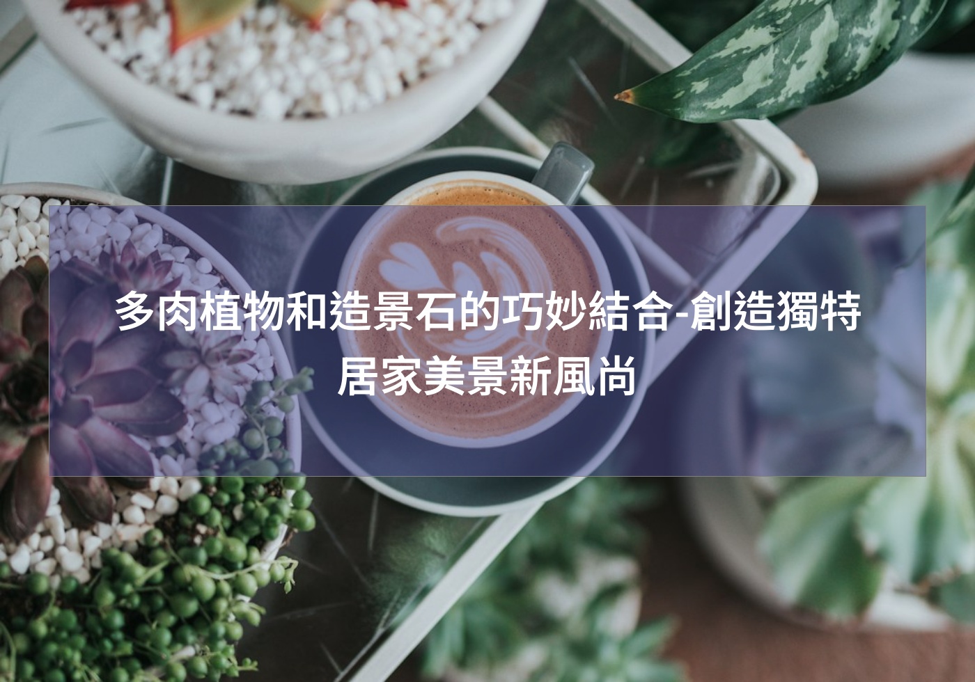 多肉植物和造景石的巧妙結合-創造獨特居家美景新風尚