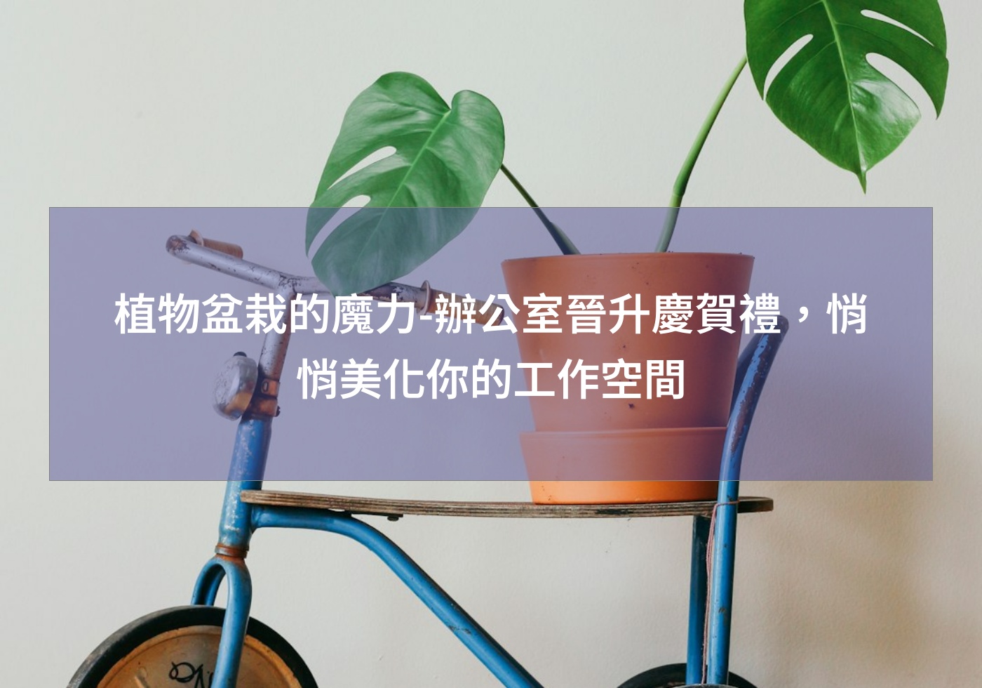 閱讀更多文章 植物盆栽的魔力-辦公室晉升慶賀禮，悄悄美化你的工作空間