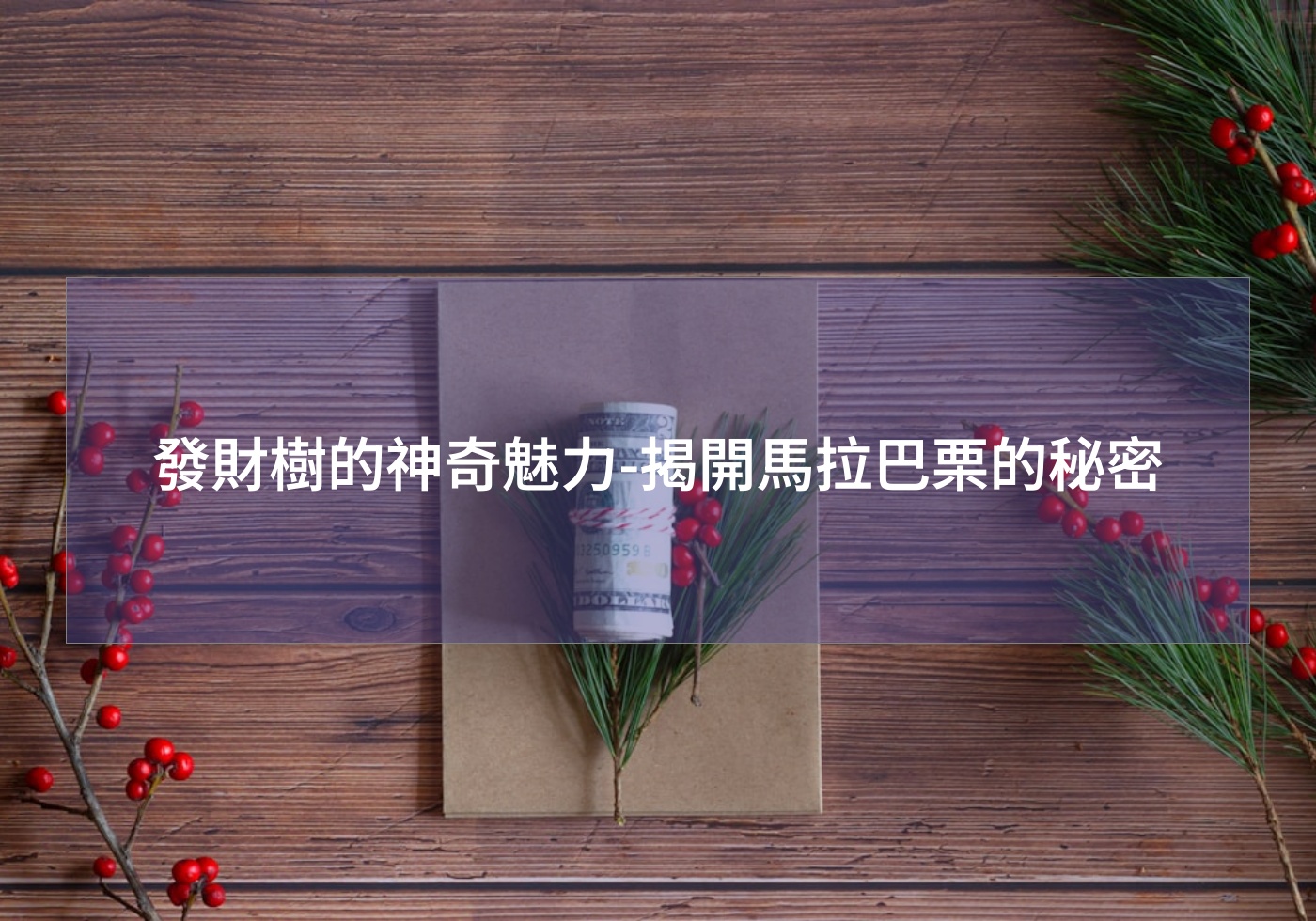 閱讀更多文章 發財樹的神奇魅力-揭開馬拉巴栗的秘密