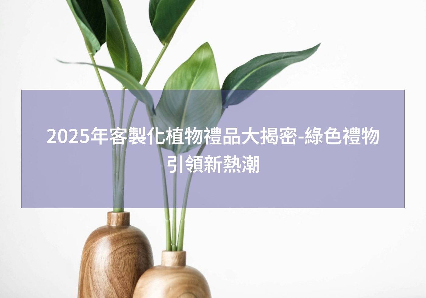 閱讀更多文章 2025年客製化植物禮品大揭密-綠色禮物引領新熱潮