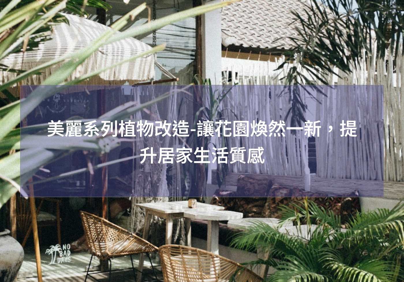 美麗系列植物改造-讓花園煥然一新，提升居家生活質感