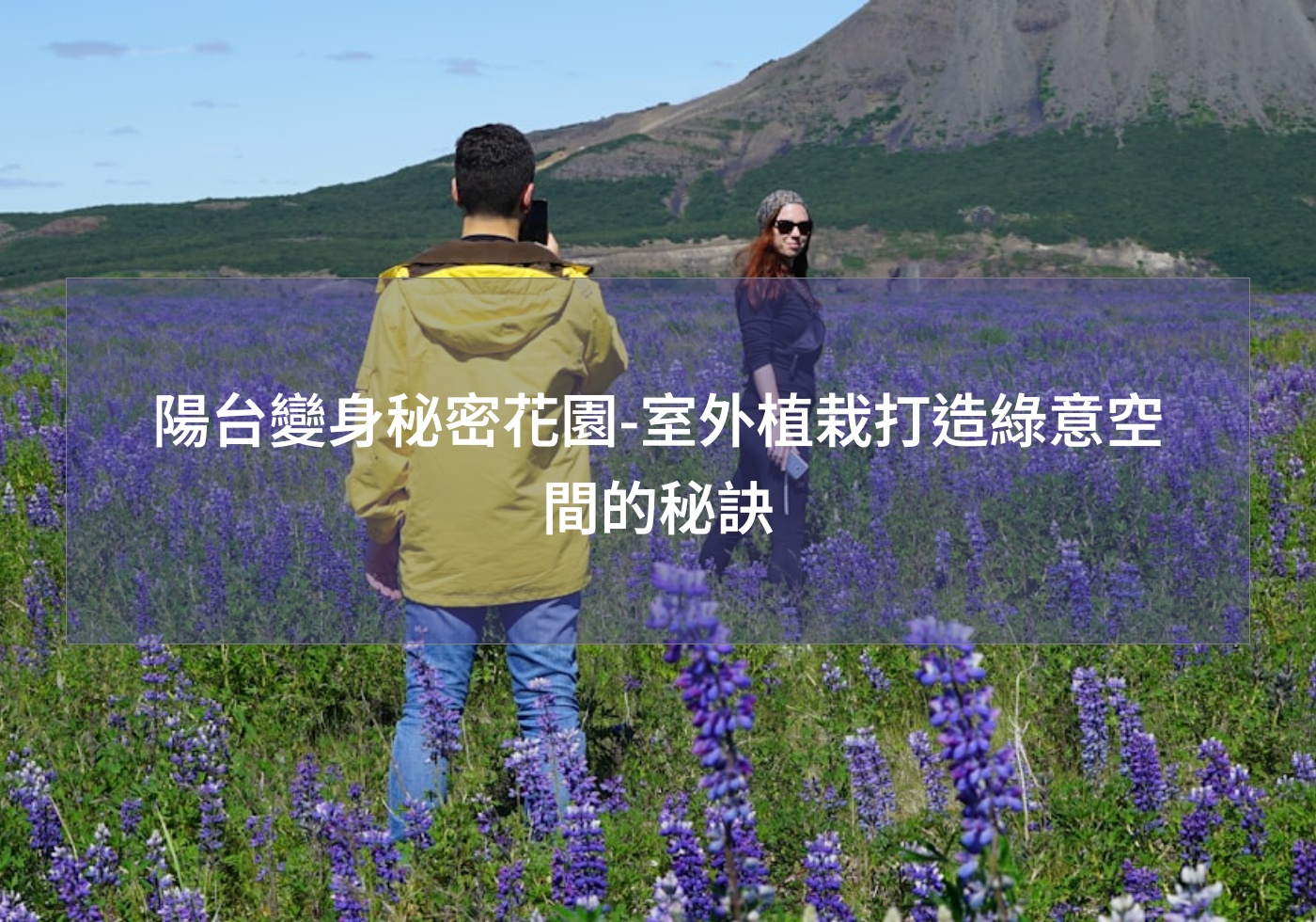 閱讀更多文章 陽台變身秘密花園-室外植栽打造綠意空間的秘訣