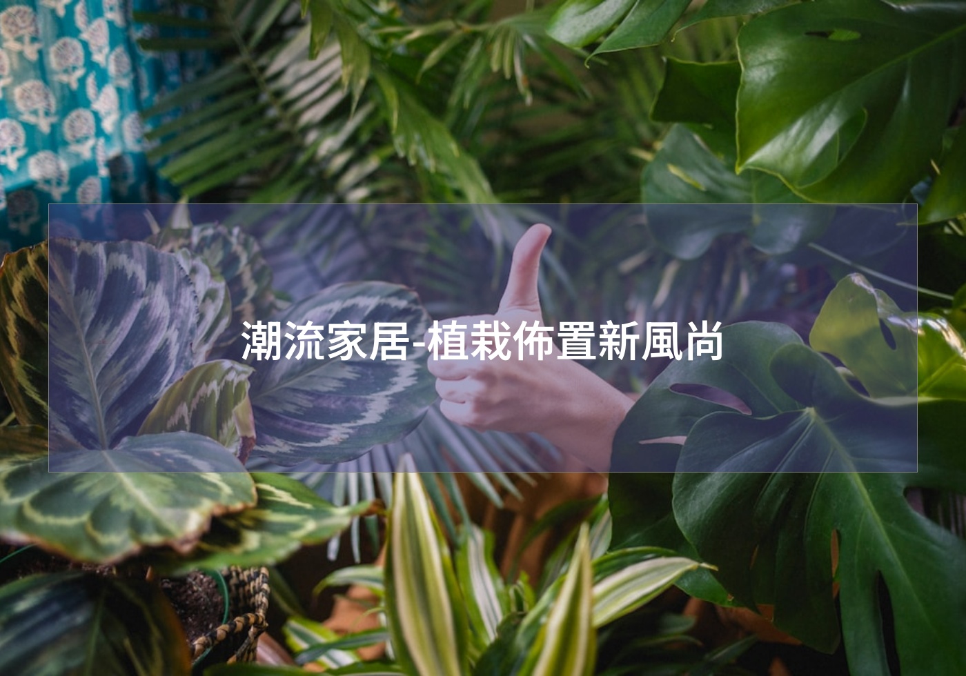 閱讀更多文章 潮流家居-植栽佈置新風尚