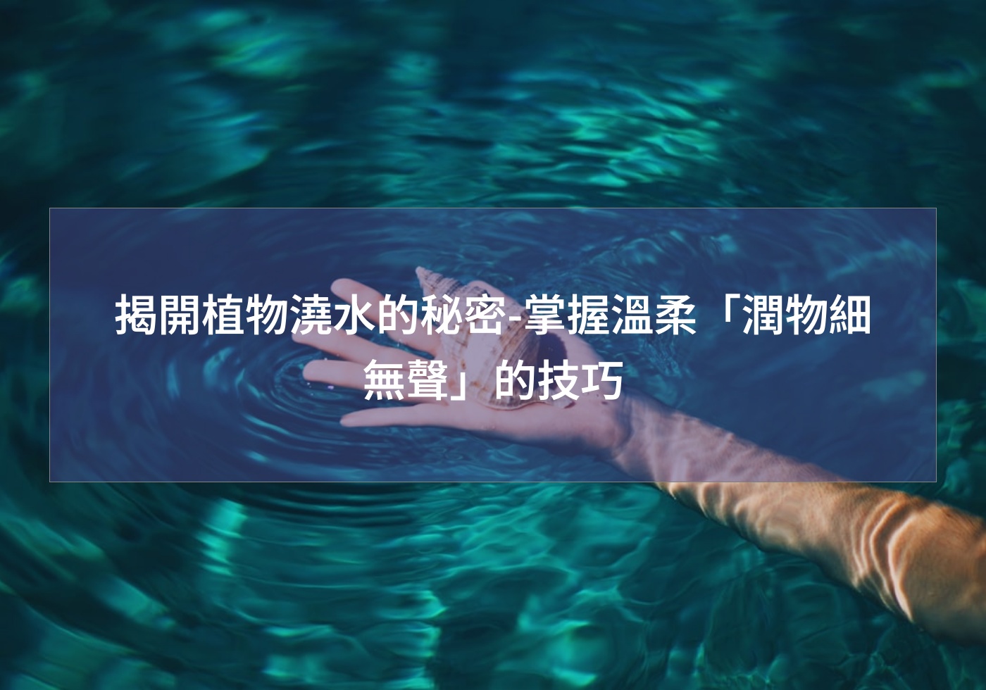 揭開植物澆水的秘密-掌握溫柔「潤物細無聲」的技巧