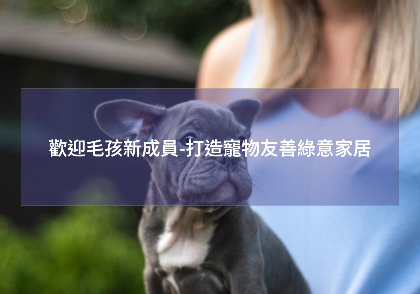 歡迎毛孩新成員-打造寵物友善綠意家居