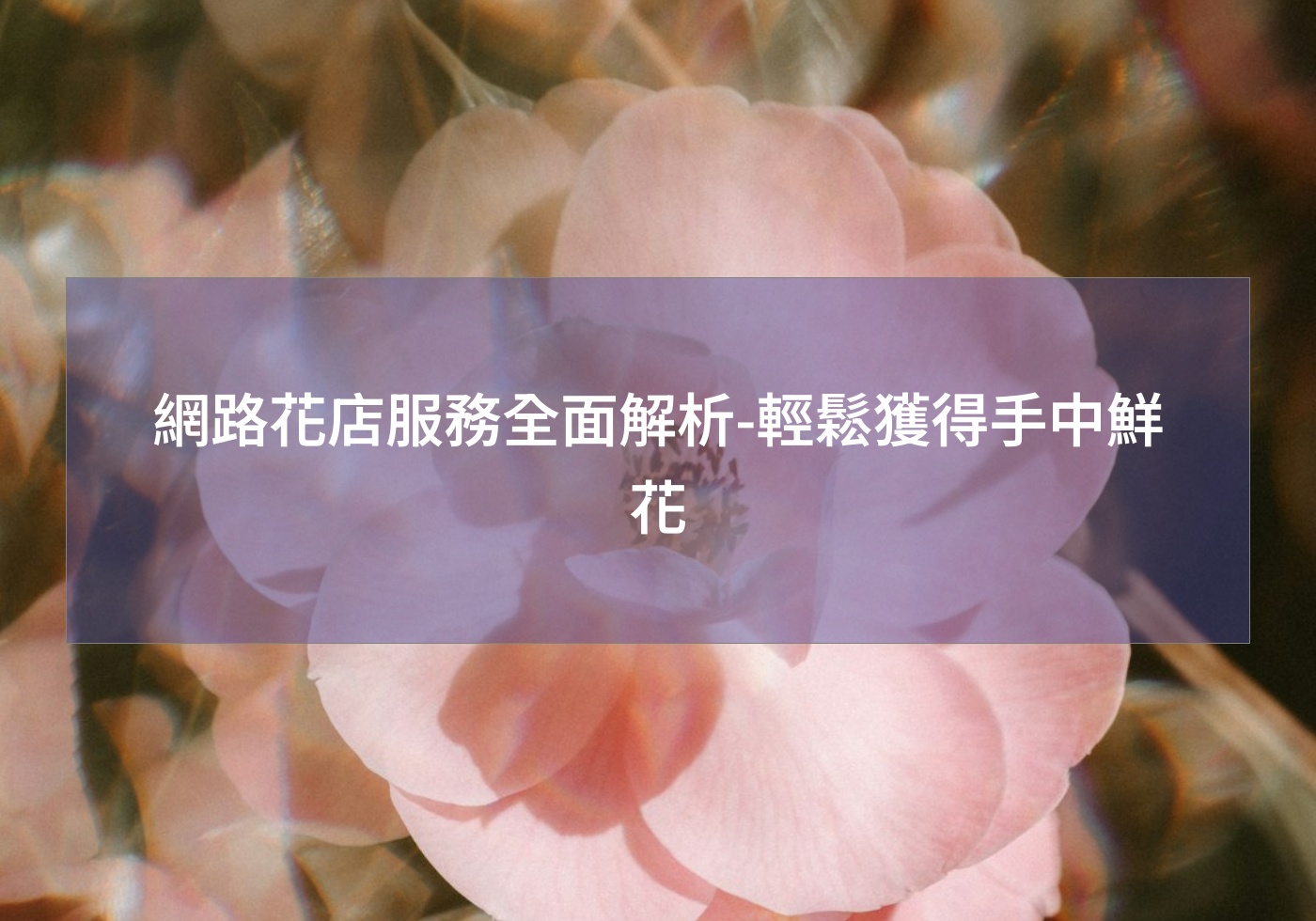 閱讀更多文章 網路花店服務全面解析-輕鬆獲得手中鮮花
