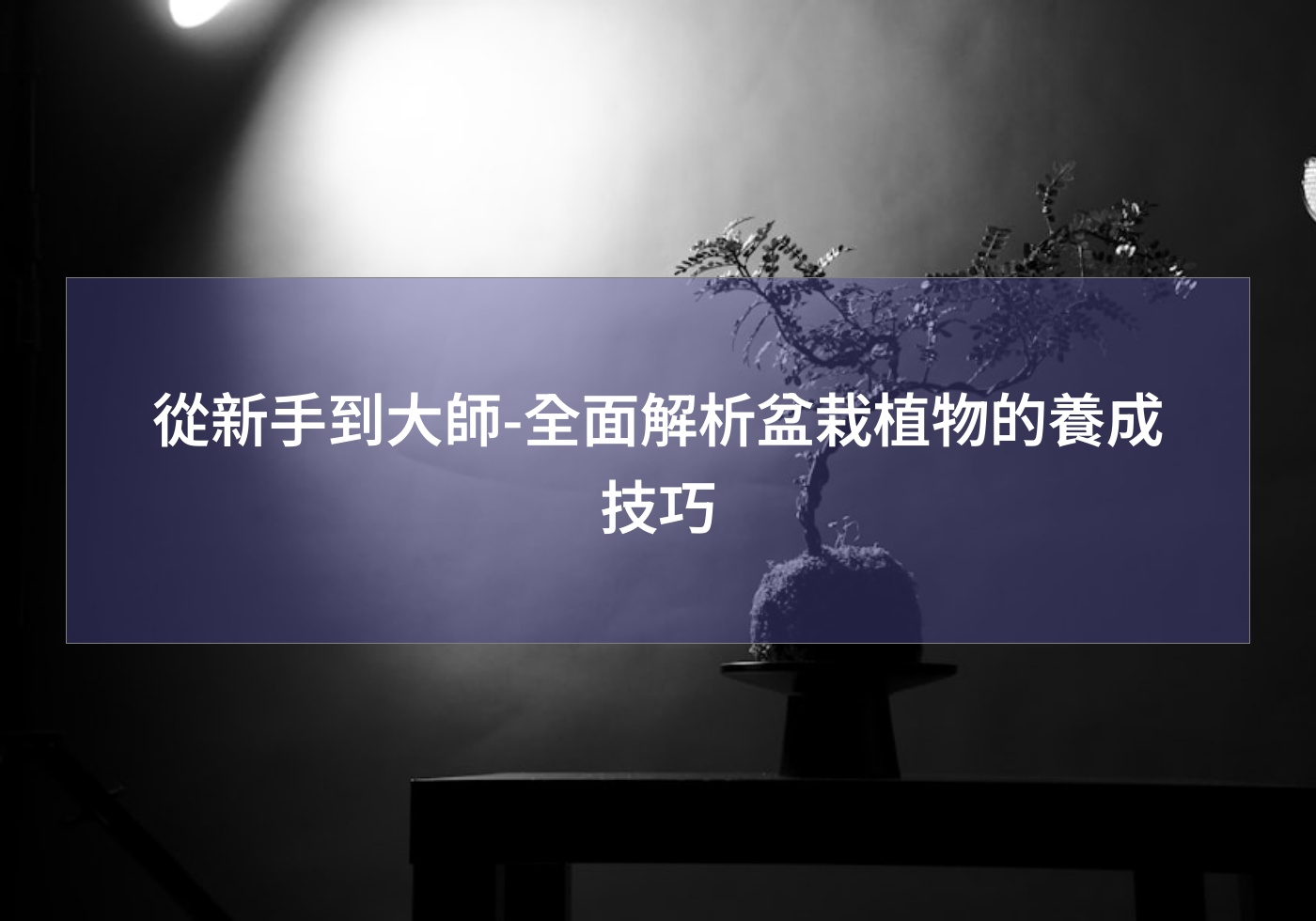 閱讀更多文章 從新手到大師-全面解析盆栽植物的養成技巧