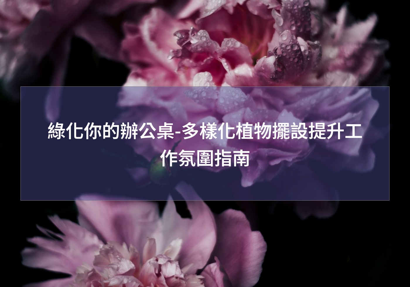 閱讀更多文章 綠化你的辦公桌-多樣化植物擺設提升工作氛圍指南