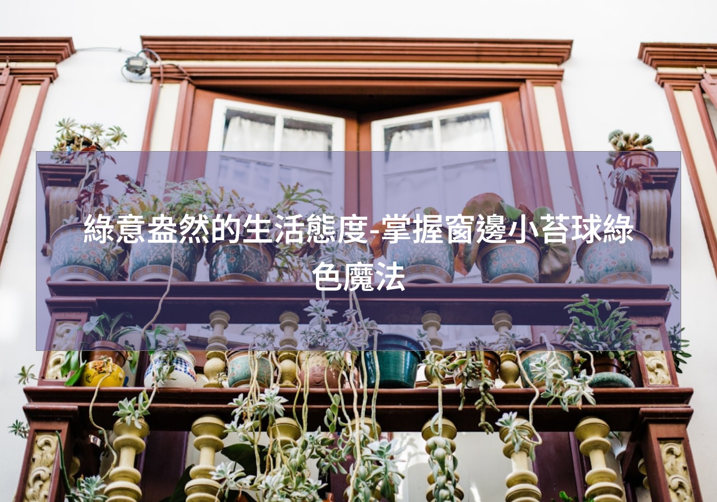 閱讀更多文章 綠意盎然的生活態度-掌握窗邊小苔球綠色魔法