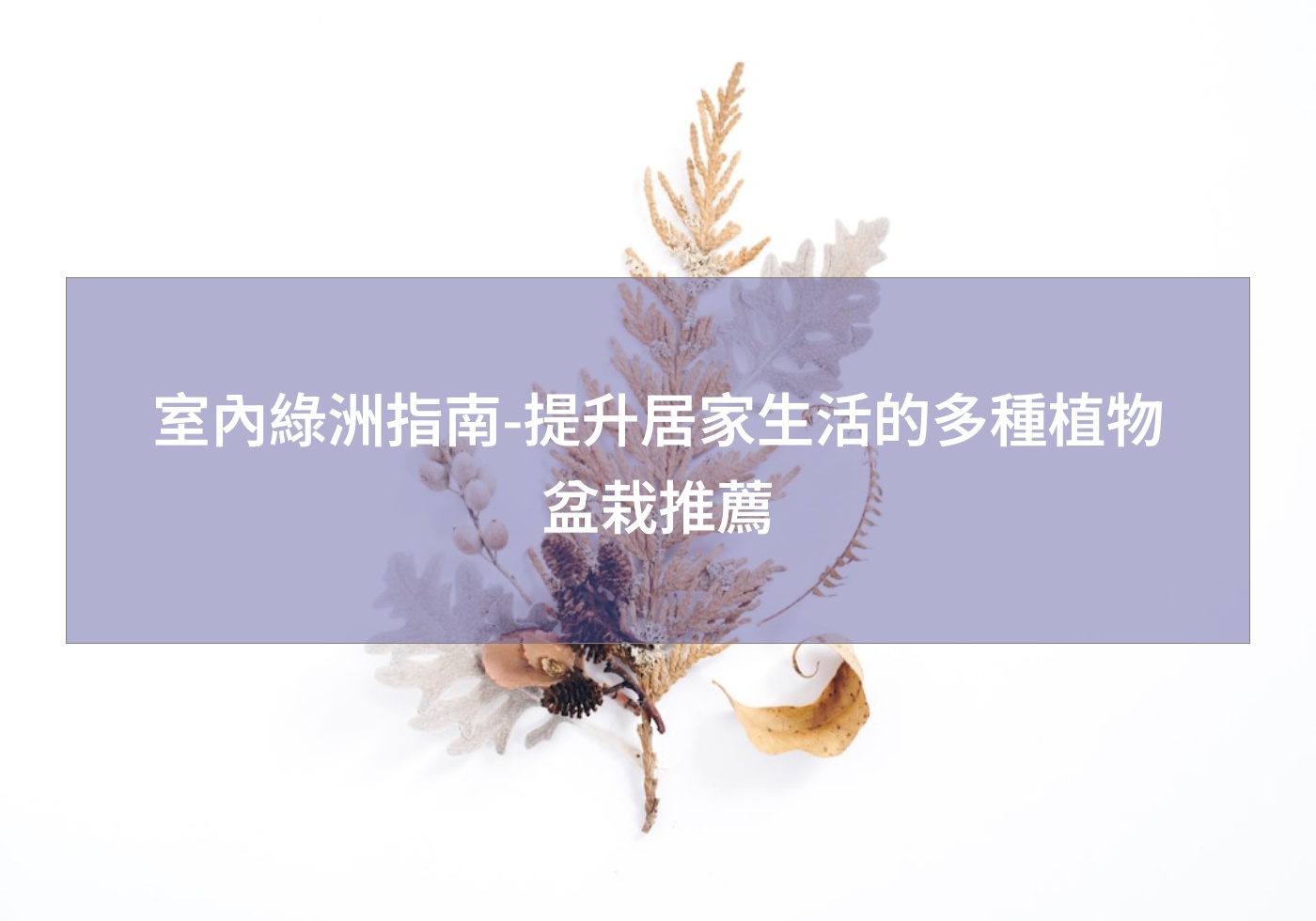 閱讀更多文章 室內綠洲指南-提升居家生活的多種植物盆栽推薦