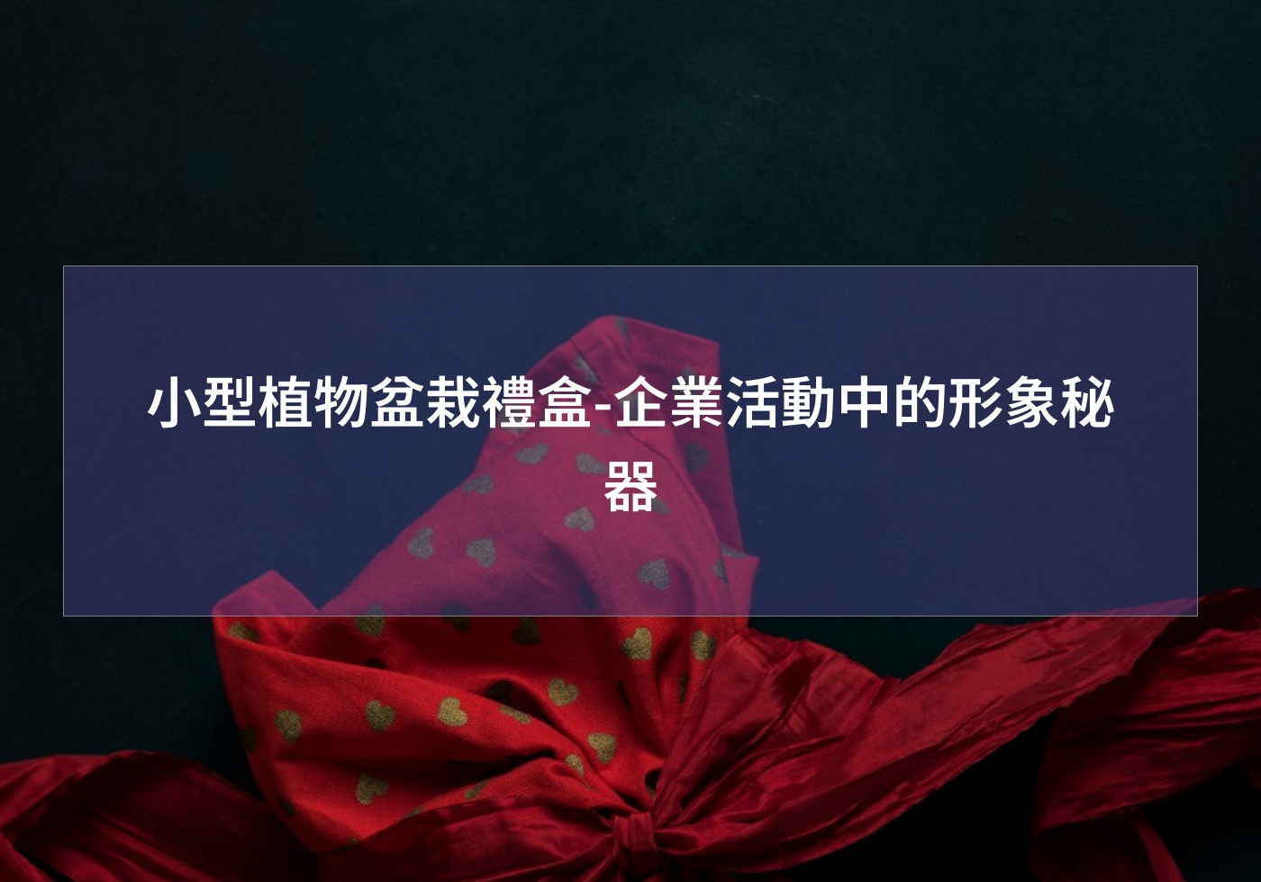 閱讀更多文章 小型植物盆栽禮盒-企業活動中的形象秘器