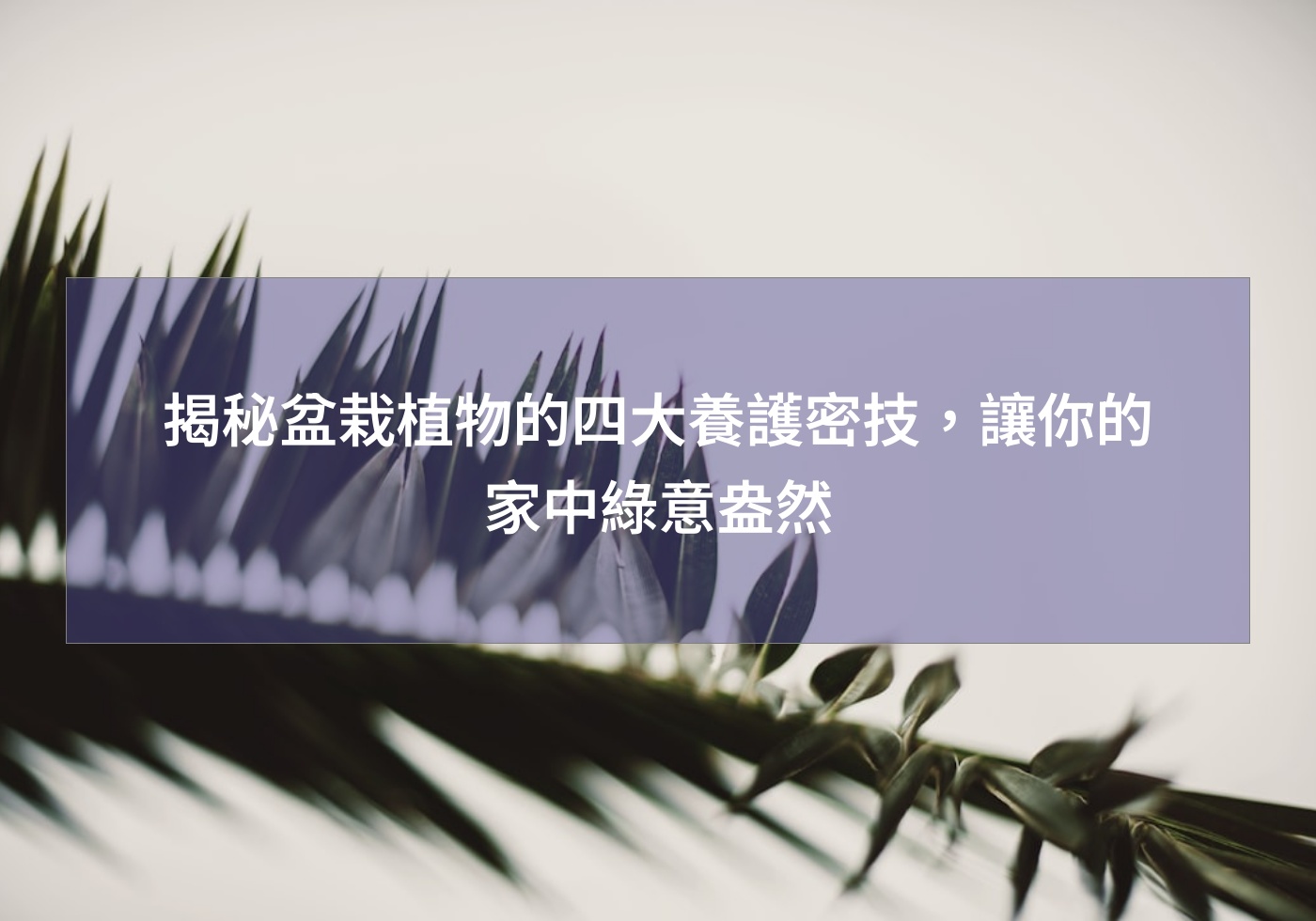 閱讀更多文章 揭秘盆栽植物的四大養護密技，讓你的家中綠意盎然