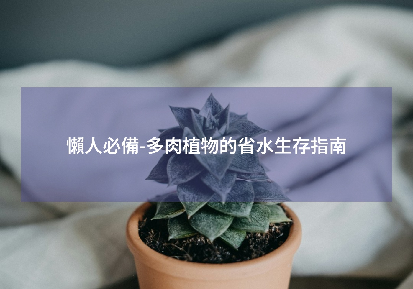 閱讀更多文章 懶人必備-多肉植物的省水生存指南