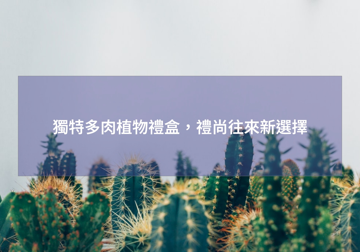 閱讀更多文章 獨特多肉植物禮盒，禮尚往來新選擇