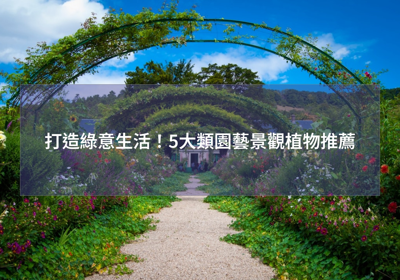 打造綠意生活！5大類園藝景觀植物推薦
