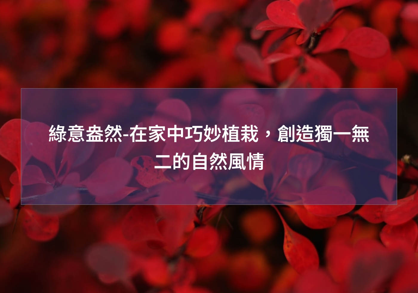 綠意盎然-在家中巧妙植栽，創造獨一無二的自然風情
