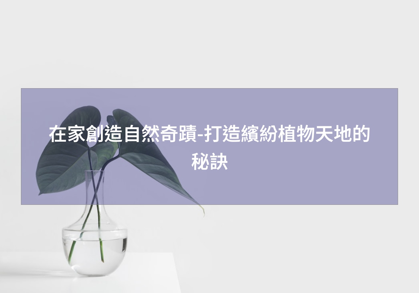 閱讀更多文章 在家創造自然奇蹟-打造繽紛植物天地的秘訣