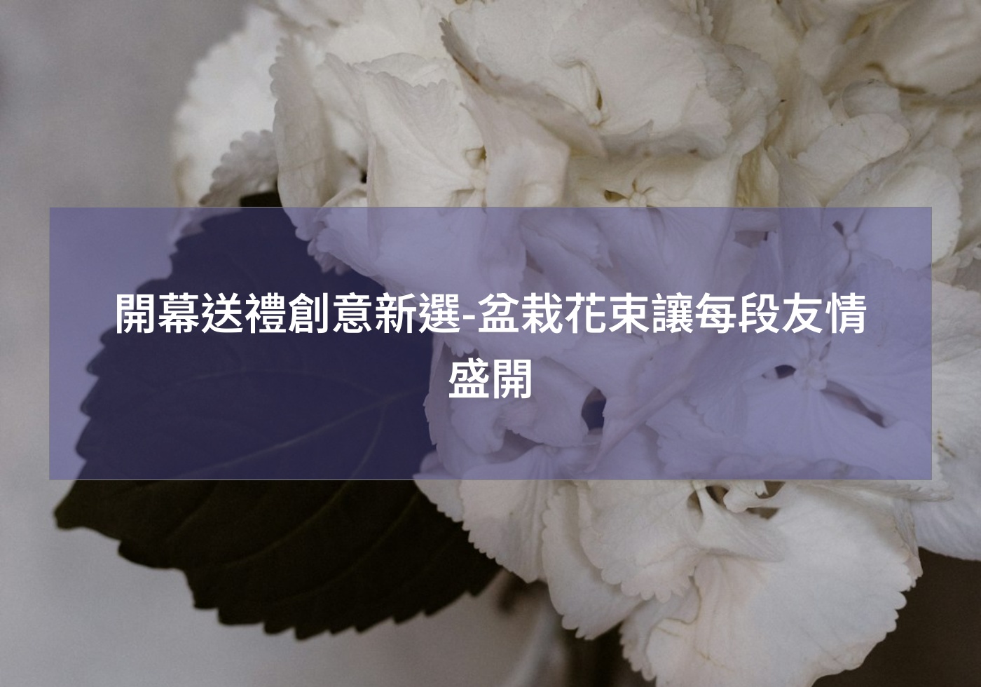 閱讀更多文章 開幕送禮創意新選-盆栽花束讓每段友情盛開