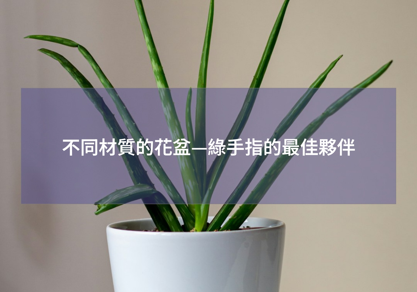 不同材質的花盆—綠手指的最佳夥伴