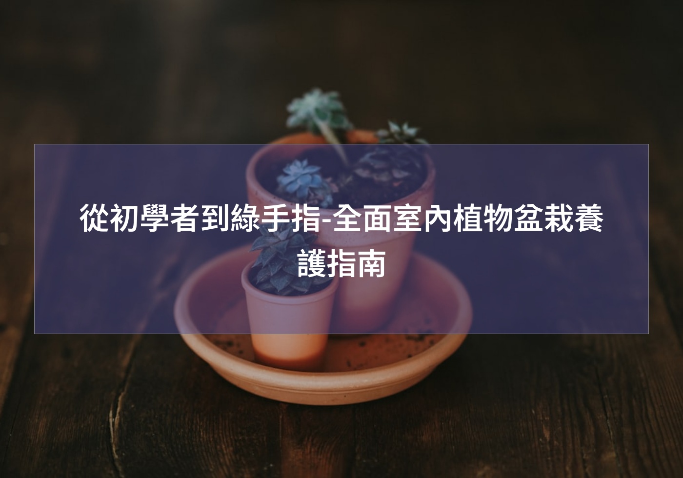 從初學者到綠手指-全面室內植物盆栽養護指南