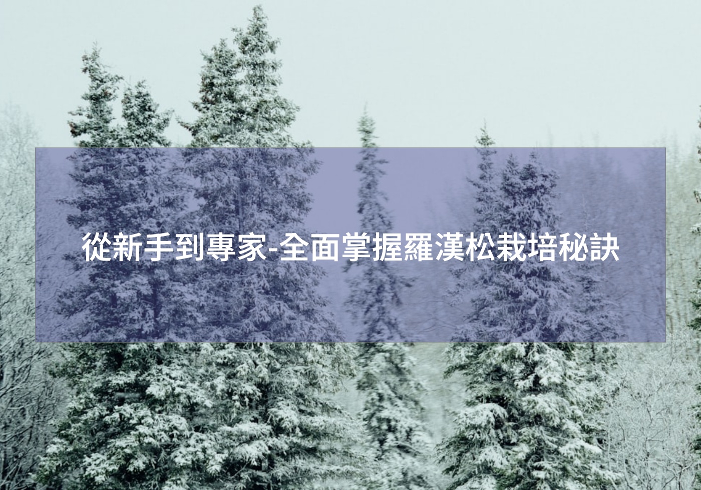 閱讀更多文章 從新手到專家-全面掌握羅漢松栽培秘訣