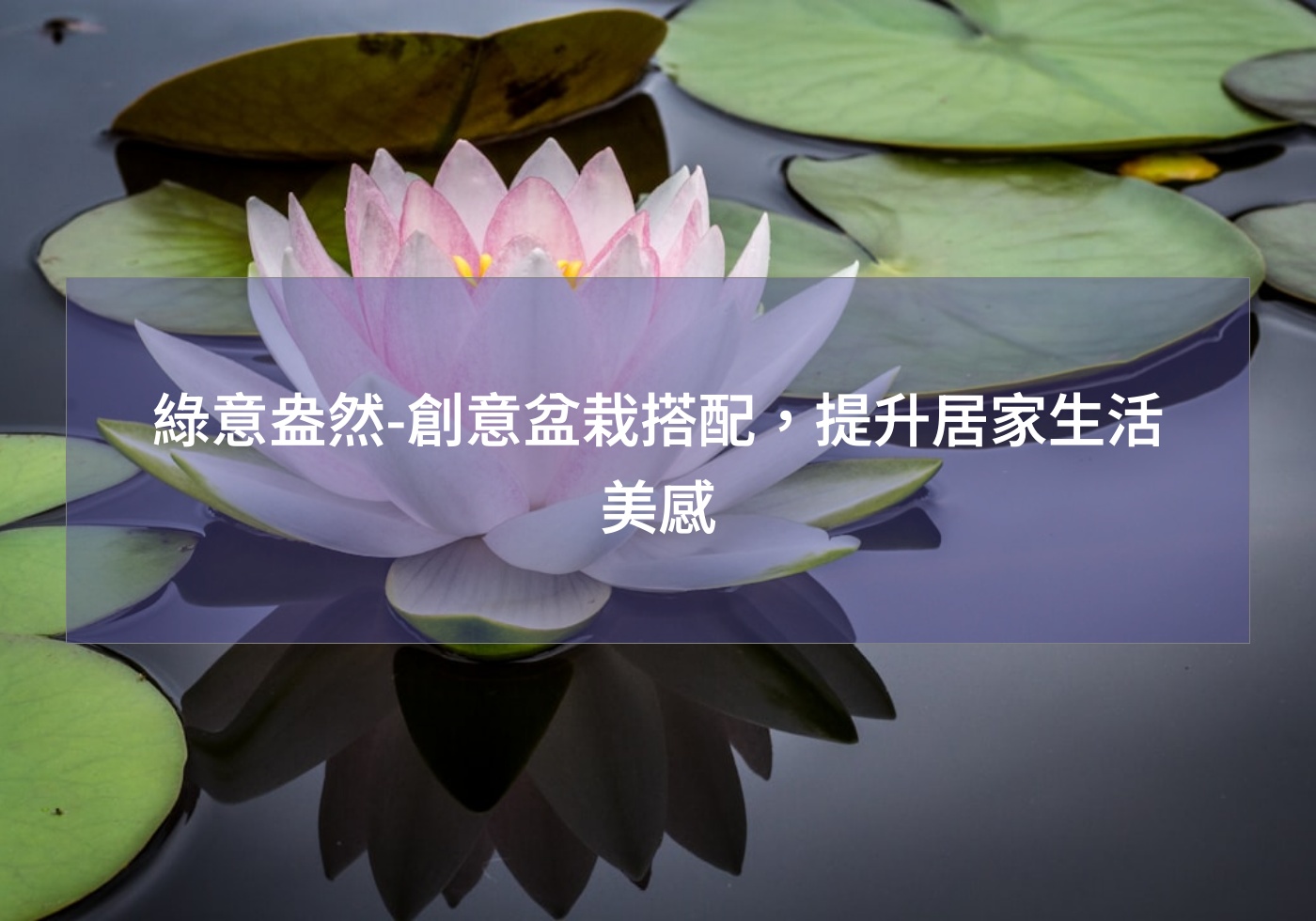 閱讀更多文章 綠意盎然-創意盆栽搭配，提升居家生活美感