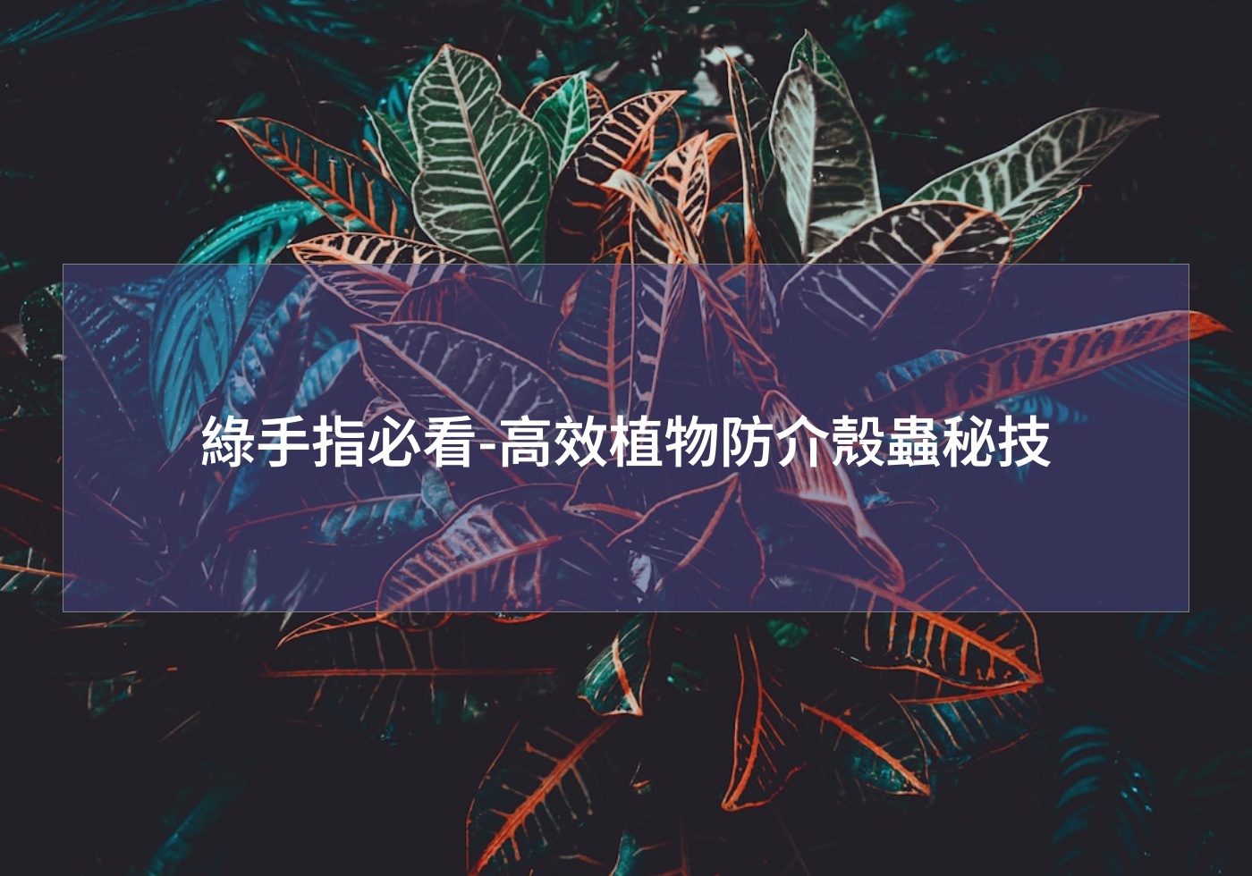 閱讀更多文章 綠手指必看-高效植物防介殼蟲秘技