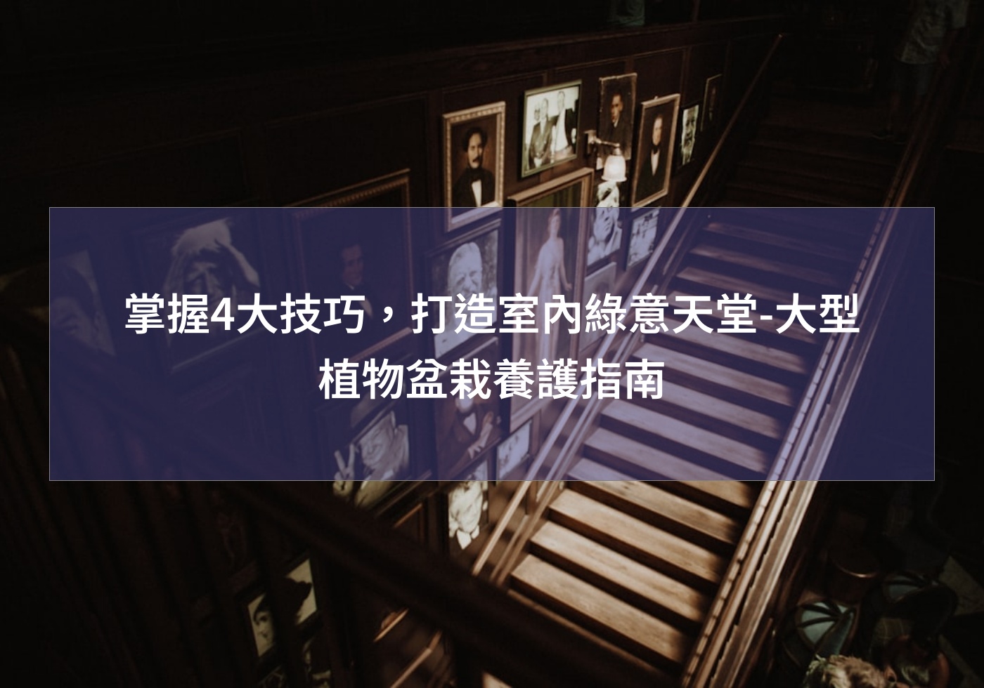 閱讀更多文章 掌握4大技巧，打造室內綠意天堂-大型植物盆栽養護指南