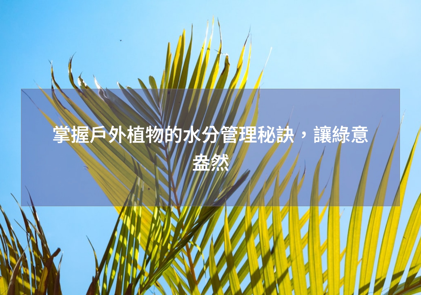 閱讀更多文章 掌握戶外植物的水分管理秘訣，讓綠意盎然