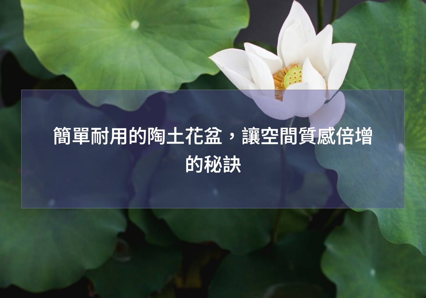 簡單耐用的陶土花盆，讓空間質感倍增的秘訣