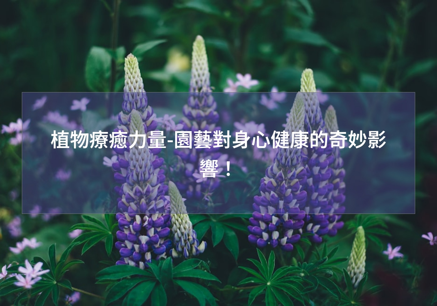 植物療癒力量-園藝對身心健康的奇妙影響！