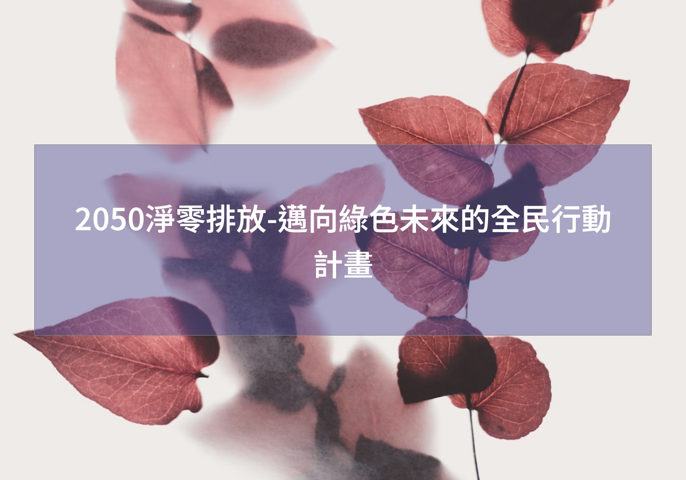 閱讀更多文章 2050淨零排放-邁向綠色未來的全民行動計畫