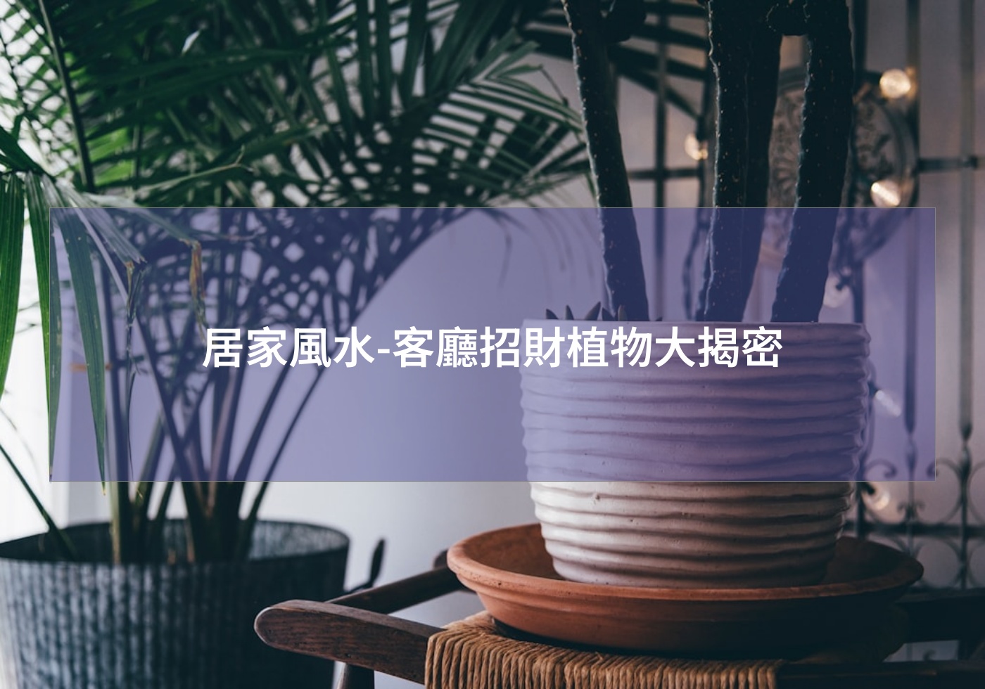 閱讀更多文章 居家風水-客廳招財植物大揭密